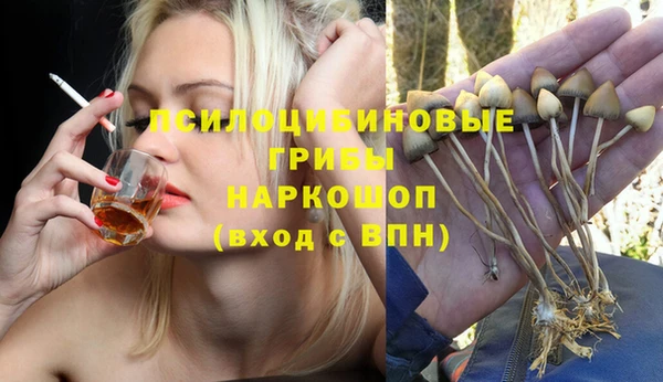 героин Горняк