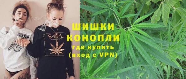 прущая мука Гусиноозёрск