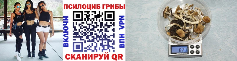 Галлюциногенные грибы прущие грибы  Купить  Сухой Лог 