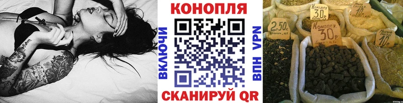 Купить  Сухой Лог  Каннабис план 